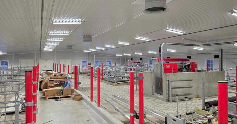 Spalt fra Suding, stolper fra Wopas, ventilasjon fra BigDutchman, innredning fra Jourdain og matter fra Promat og Kraiburg. Magnus Åsegg, Steinsdalen februar 2025