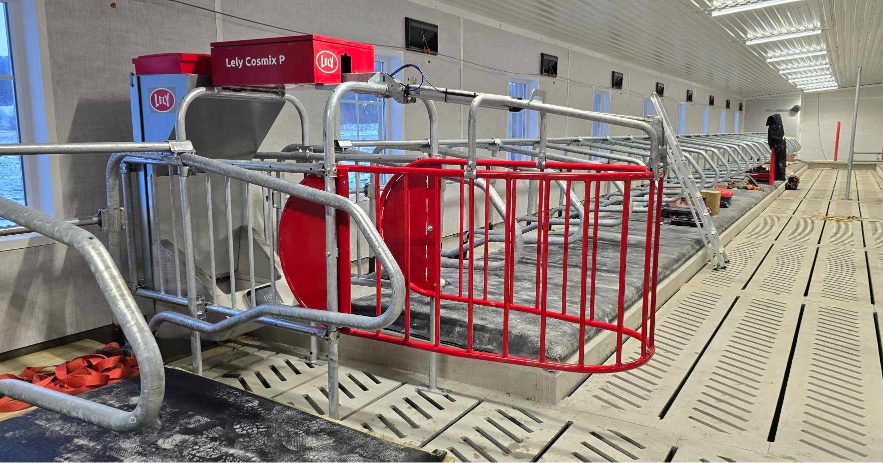 Lely Cosmix hos Magnus Åsegg, Steinsdalen februar 2025