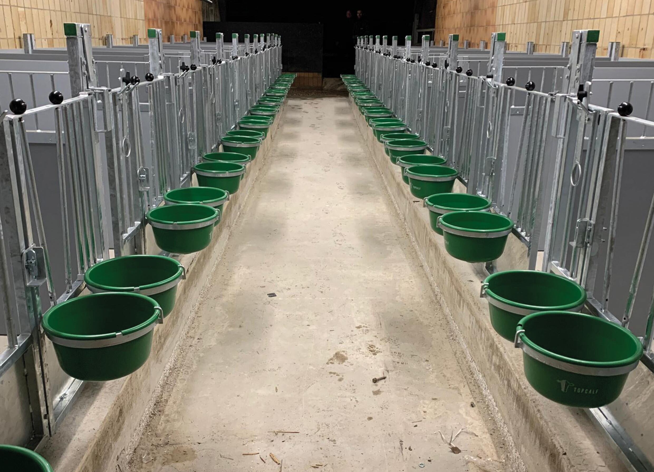 Topcalf, kalveinnredning