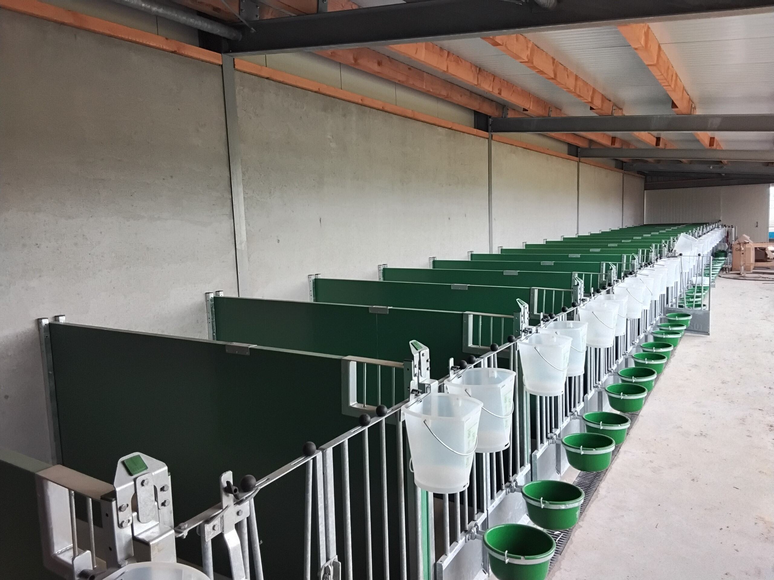 Topcalf, kalveinnredning