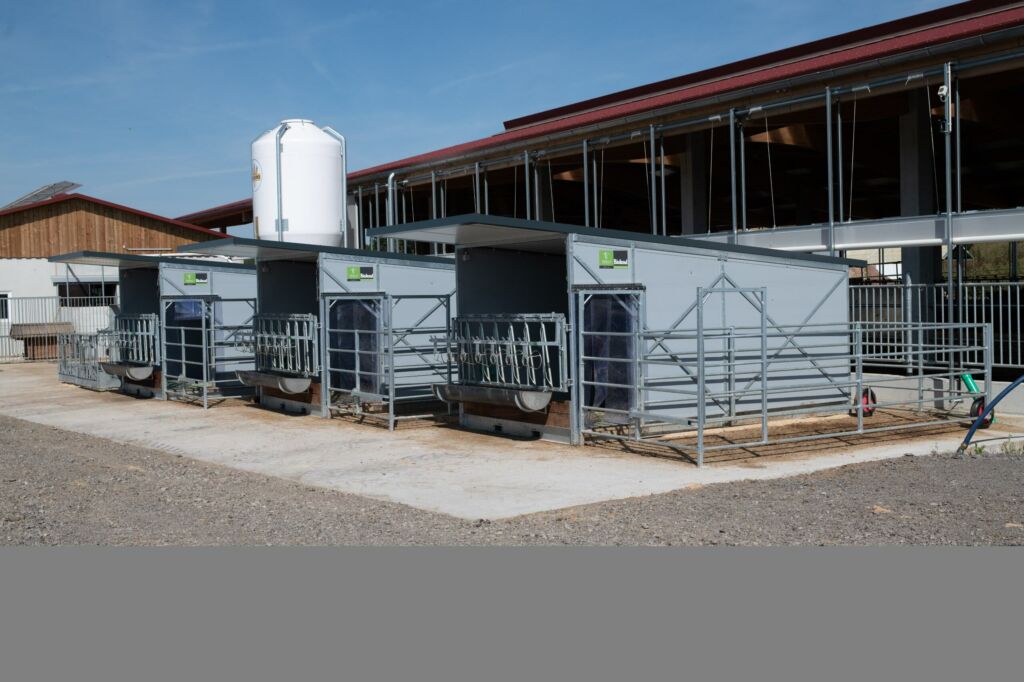 Topcalf, kalveinnredning