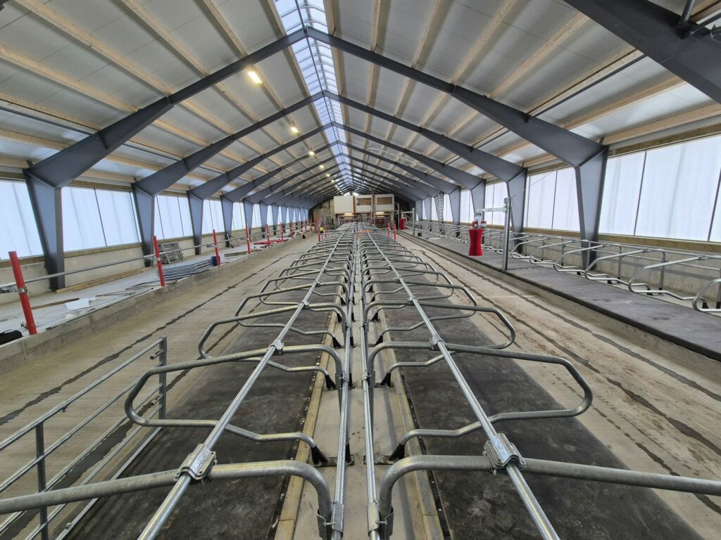 Melkekufjøs hos Runar Helland i Heim kommune. Februar 2025