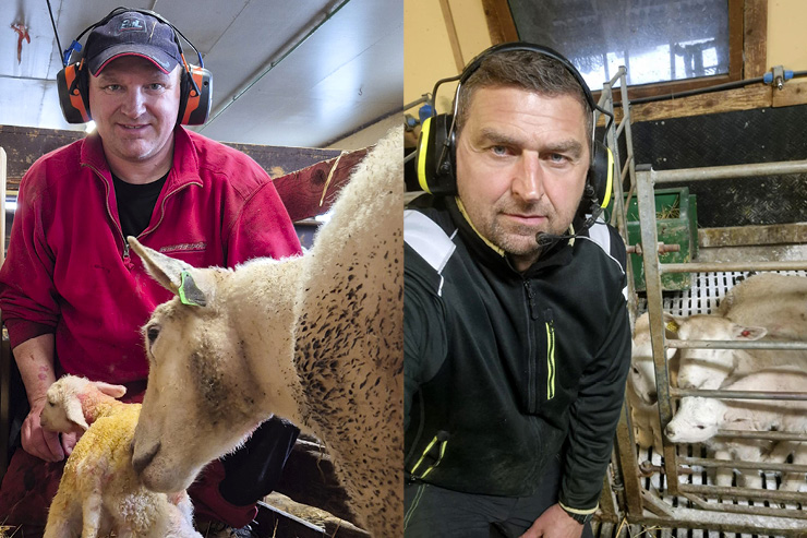 Lamming for dummies - Kjetil Lien og Anders Konglevoll