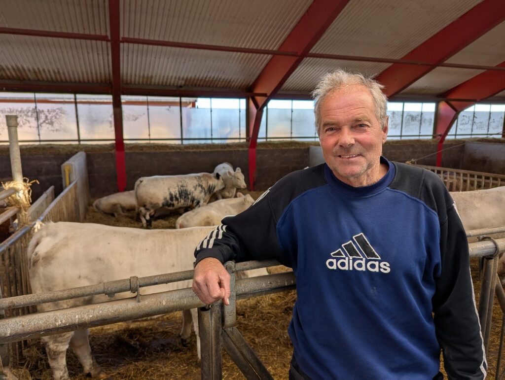 Håkon Marius Kvæken og Speckle Park. Foto: Dag Idar Jøsang, Norsk Landbruk